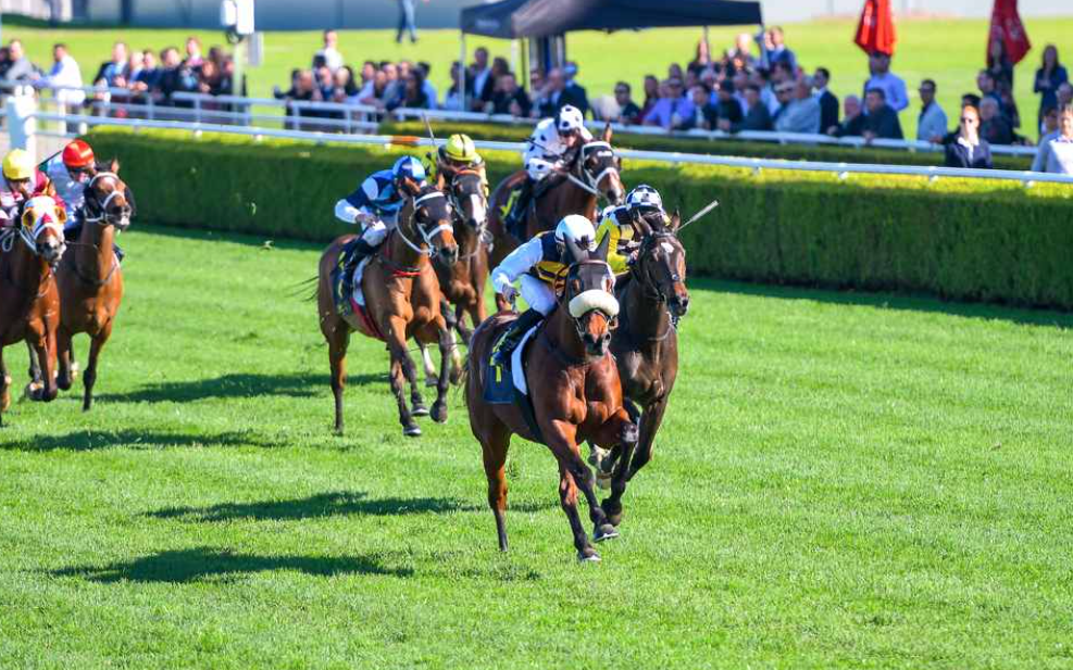 pasquierturf || pasquier turf blogspot