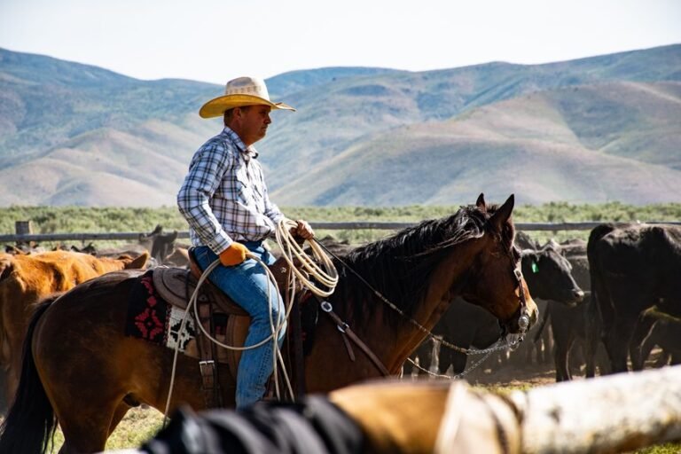 dale brisby s ranch earnings details