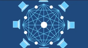 What Are Crypto Nodes and Why Are They Important?